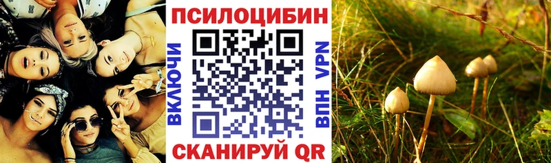 Псилоцибиновые грибы мухоморы  где найти наркотики  маркетплейс официальный сайт  Ртищево 